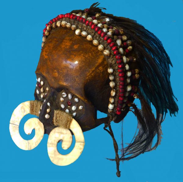 DS10 Asmat Ancestor Skull Irian Jaya Papua New Guinea Shell Septum Nose Piece