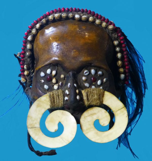 DS10 Asmat Ancestor Skull Irian Jaya Papua New Guinea Shell Septum Nose Piece - Image 2