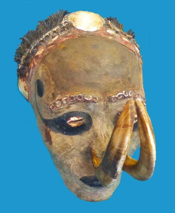 DS19 Skull Sepik Overmodelled with Boars Tusks Papua New Guinea. - Image 3