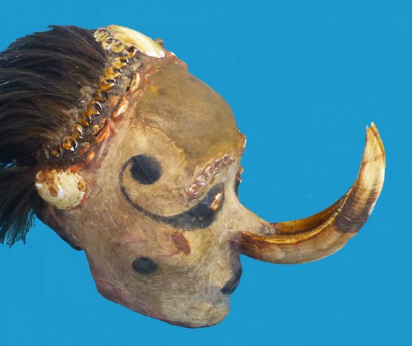 DS19 Skull Sepik Overmodelled with Boars Tusks Papua New Guinea. - Image 7