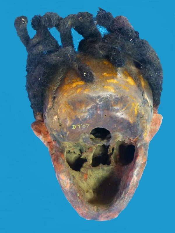 aDT07 Skull Iatmul Overmodelled East Sepik Province Human Hair see similar South Australia & British Museums - Image 9