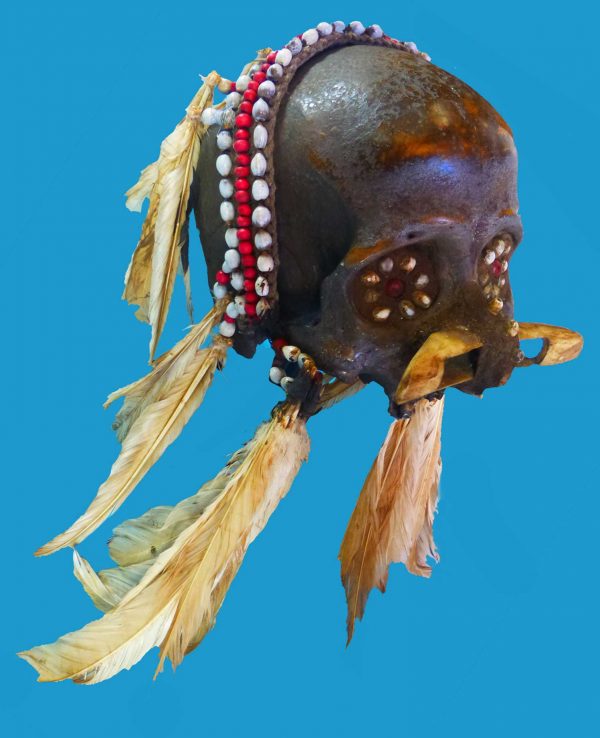 DT14 Asmat Ancestor Skull Papua New Guinea Irian Jaya - Image 2