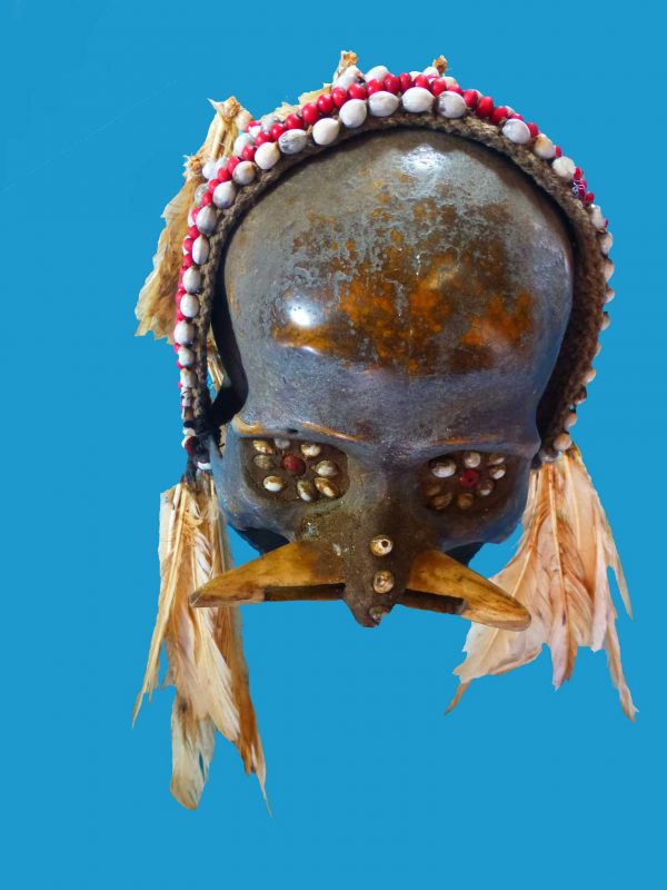 DT14 Asmat Ancestor Skull Papua New Guinea Irian Jaya - Image 10