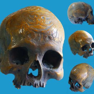 DV02 Dayak Trophy Skull Incised Borneo