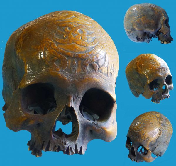 DV02 Dayak Trophy Skull Incised Borneo