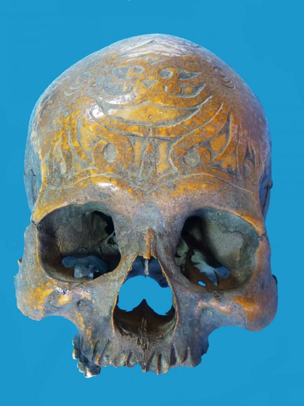 DV02 Dayak Trophy Skull Incised Borneo - Image 2