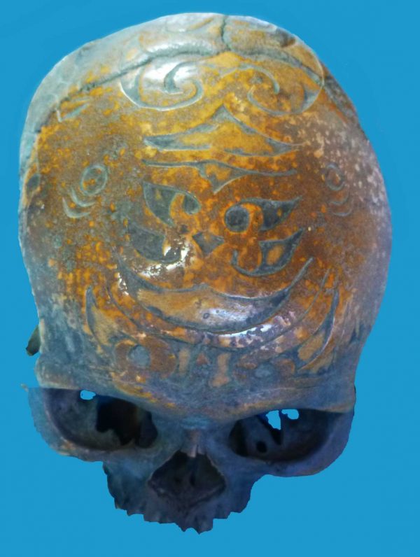 DV02 Dayak Trophy Skull Incised Borneo - Image 8