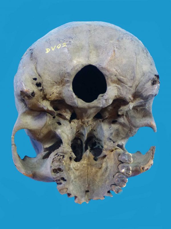 DV02 Dayak Trophy Skull Incised Borneo - Image 10