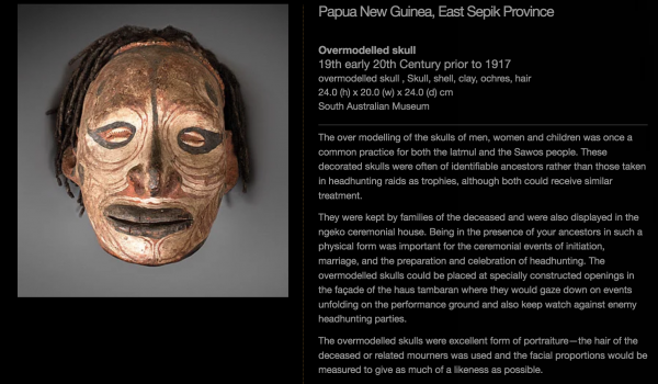 aDT07 Skull Iatmul Overmodelled East Sepik Province Human Hair see similar South Australia & British Museums - Image 5