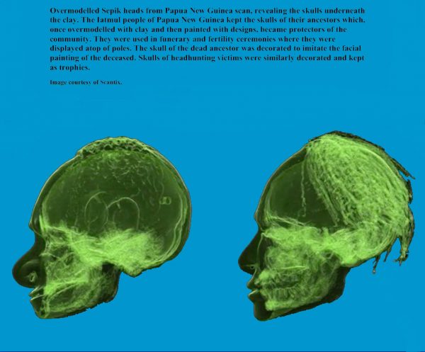 aDT07 Skull Iatmul Overmodelled East Sepik Province Human Hair see similar South Australia & British Museums - Image 6