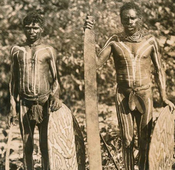 Z04 - North Australian Aboriginal Rainforest Qld Sword Club - Image 9