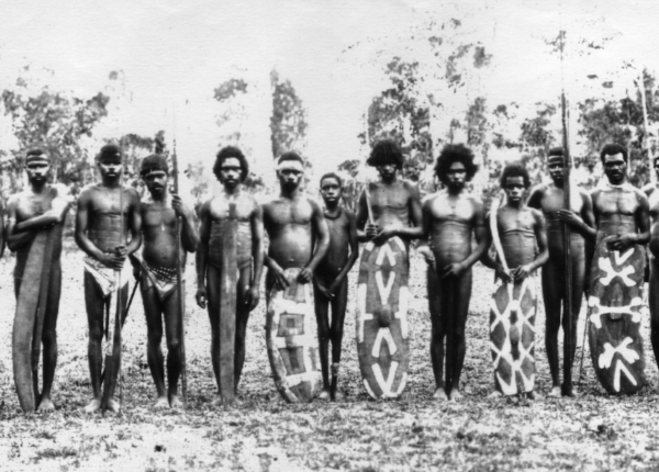 Z04 - North Australian Aboriginal Rainforest Qld Sword Club - Image 11