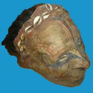 aDT16 Skull Iatmul Overmodelled Sepik Province Human Hair