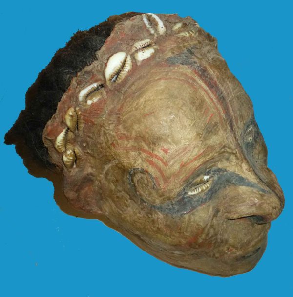 aDT16 Skull Iatmul Overmodelled Sepik Province Human Hair