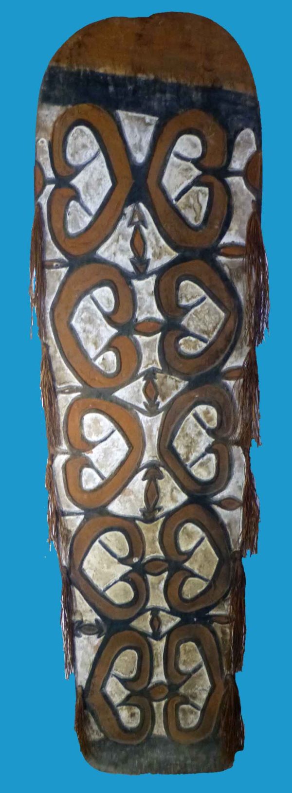 BC14 Asmat Shield Papuan Asmat Shield Great Carving c1960 Irian Jaya. - Image 2