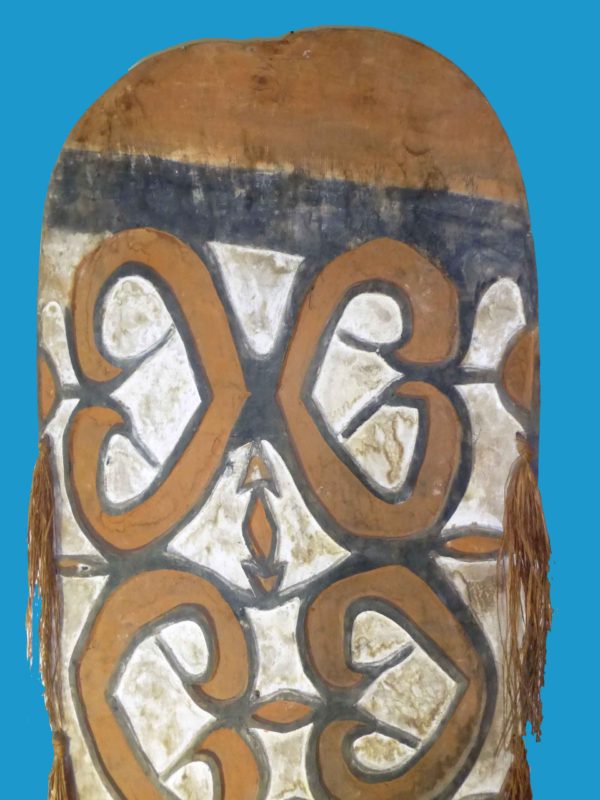 BC14 Asmat Shield Papuan Asmat Shield Great Carving c1960 Irian Jaya. - Image 5