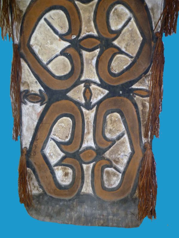 BC14 Asmat Shield Papuan Asmat Shield Great Carving c1960 Irian Jaya. - Image 7