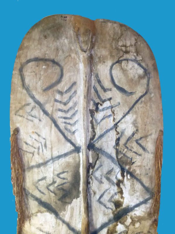 BC14 Asmat Shield Papuan Asmat Shield Great Carving c1960 Irian Jaya. - Image 8