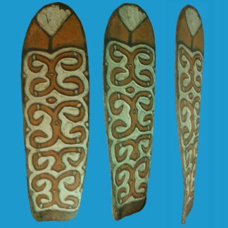 BC11 Brazza River Asmat Shield Fruit Bat Design.
