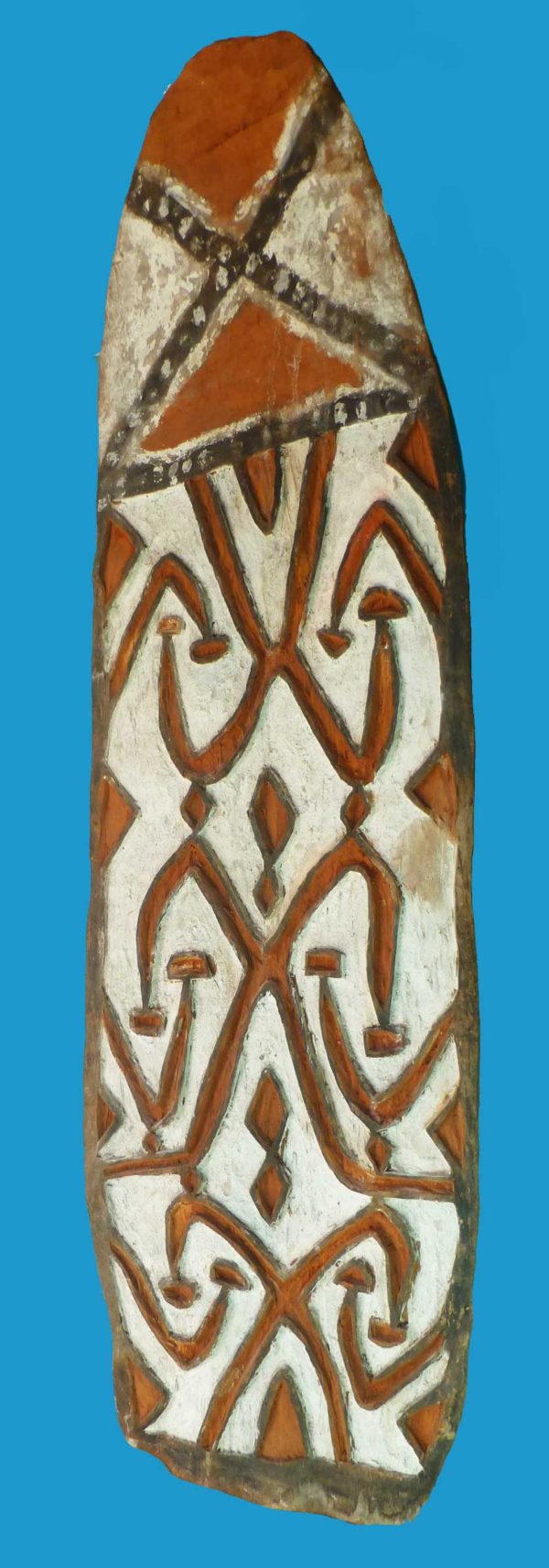 BQ10 Asmat Brazza River Shield Papua Irian Jaya - Image 8