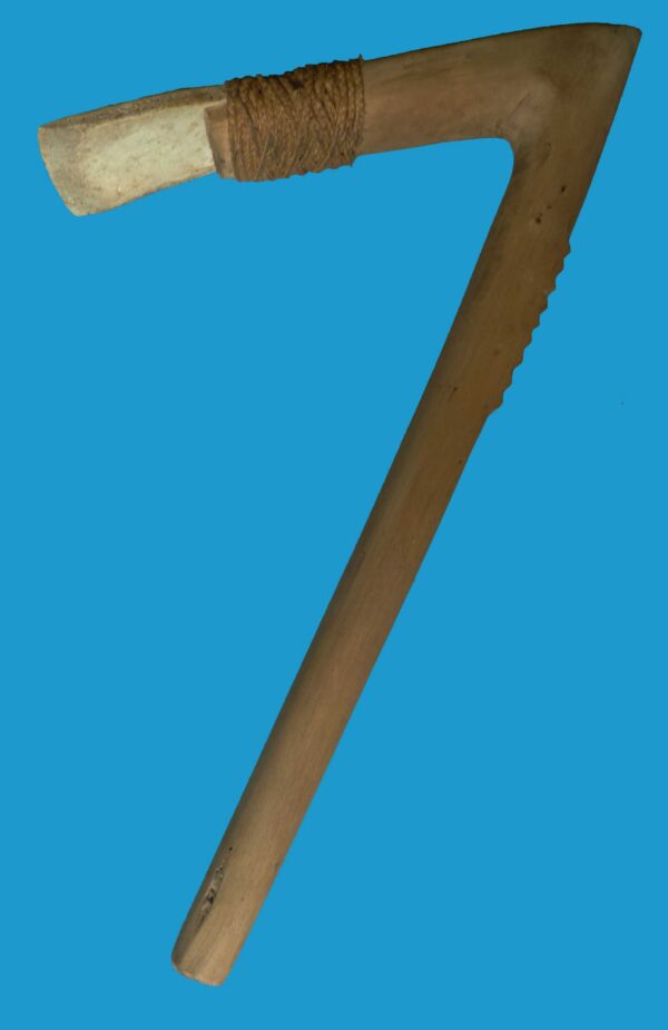 HG20 Adze Turtle Shell Blade from Bougainville Island. Rare Item - Image 2