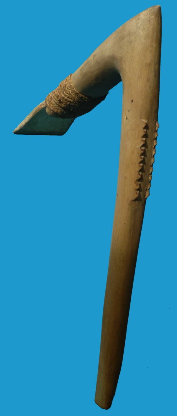 HG20 Adze Turtle Shell Blade from Bougainville Island. Rare Item - Image 3