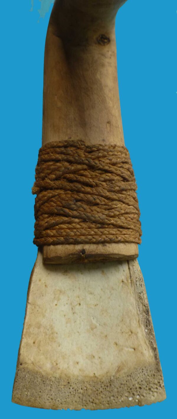 HG20 Adze Turtle Shell Blade from Bougainville Island. Rare Item - Image 5