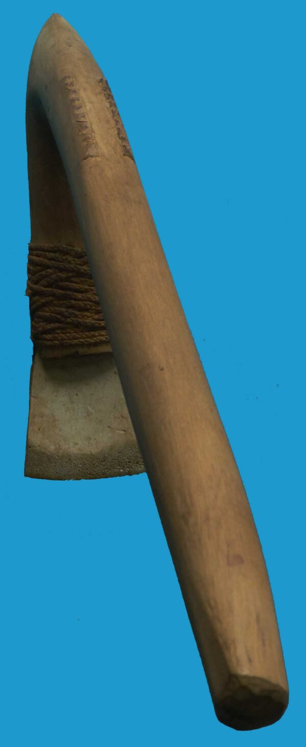 HG20 Adze Turtle Shell Blade from Bougainville Island. Rare Item - Image 8