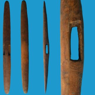 HG12 Shield Aboriginal Parrying Shield North West Australia