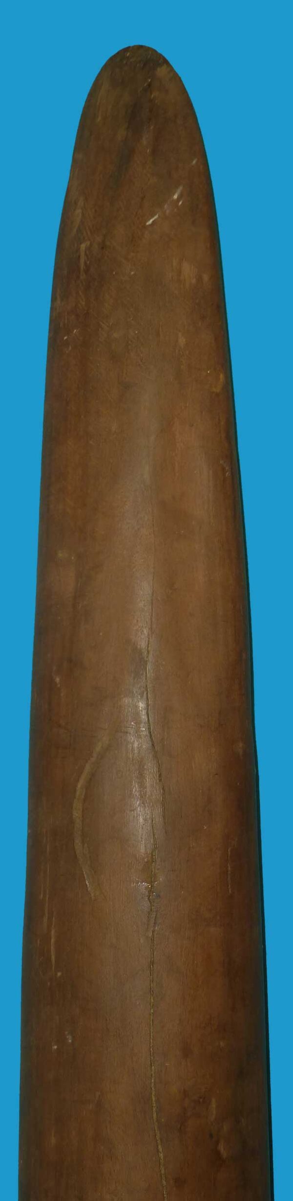 HG13 Aboriginal Hardwood Parrying Shield North West Australia - Image 7