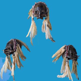 DV15 Asmat Ancestor Skull Southwest Coast Papua Irian Jaya